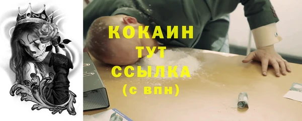 2c-b Богородицк